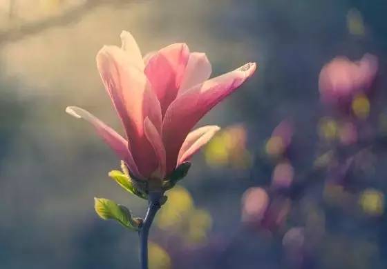 abee620ea0464b32923d159e3f78b35d_th