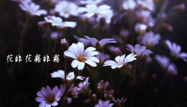 u18545681243651070788fm173app25fJPEG