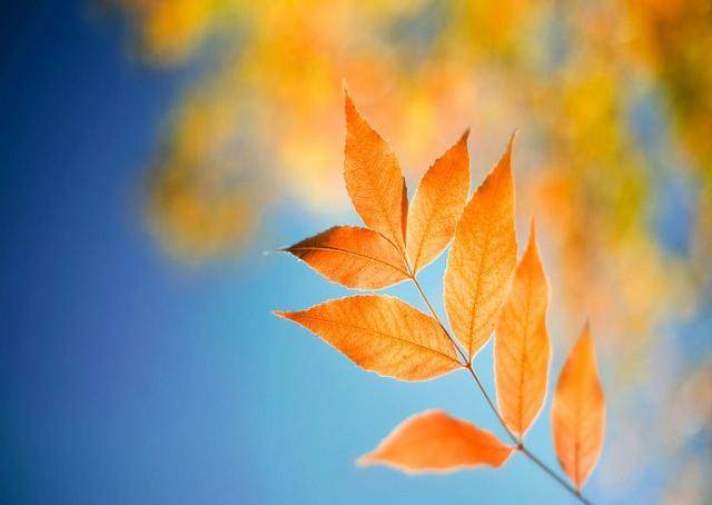 u34354230731963632745fm173app25fJPEG