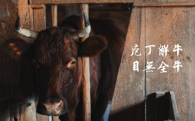 u9775939122079949724fm173app25fJPEG